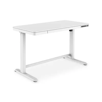 DIGITUS Elektrisch höhenverstellbarer Schreibtisch DA-90406 | 120x60 cm | USB-Ladestation | Schublade | Holz | Weiß