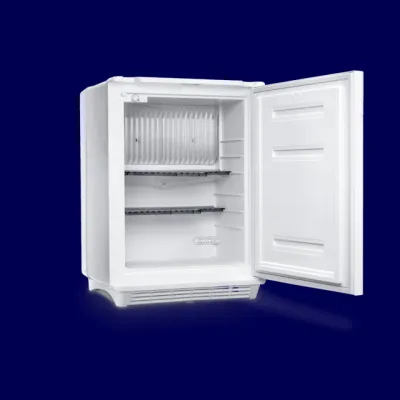 Dometic Kühlautomat MiniCool DS 300 ws