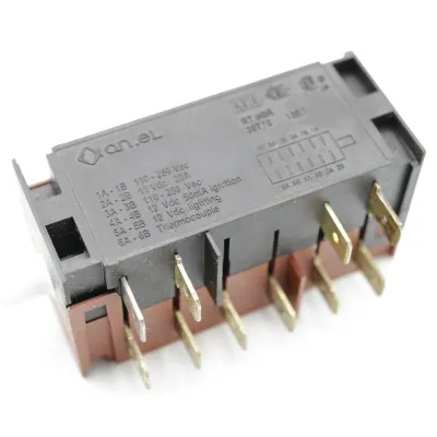 Dometic Kühlschrank-Schalter 295202551 Gas/Elektro Zündung