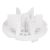 Bild: Dust collection port filter holder(white) 201-2453-0068