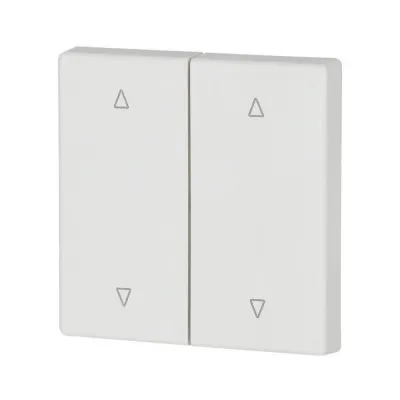 EATON Wippe 2-fach CWIZ-02/21 147617 | Jalousie Schalter | Symbol Pfeile | 55x55 mm | Kunststoff | reinweiß RAL 9010