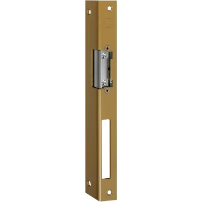 Assa Abloy effeff Türöffner 14EFafix iW | Standard | Einbau | 6-12V AC/DC | mechanisch | DIN rechts | goldfarbig