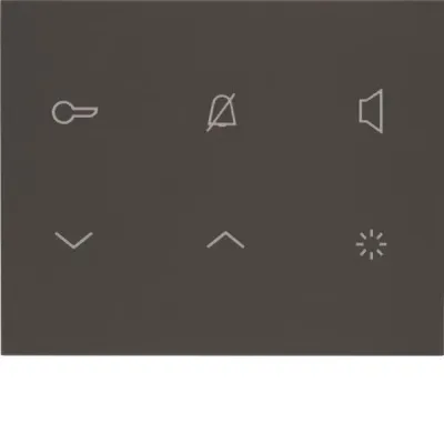 ELCOM Innenstation-Audio 2D anthrazit matt TOUCH REA114Y