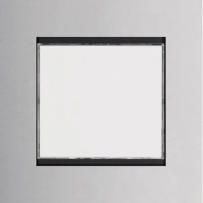 ELCOM REN101Y Sprachmodul Bus 1RT MODESTA si 120x120x19mm