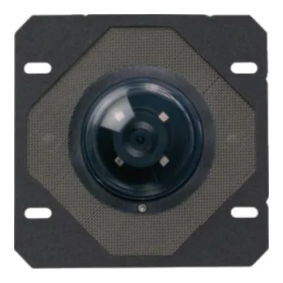 Elcom Kamera-Türlautsprecher BTC-500 1816500 | 2-Draht-Video Sprechanlage | Farbkamera 80° | Einbau | Schwarz