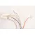 Bild: Elica Dunstabzugshaube Motor SPP0206546 S4800508