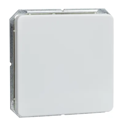 Elso Blindabdeckung 203014 | aufrastbar | Unterputz | Zentralplatte | Kunststoff Duroplast | halogenfrei | reinweiß