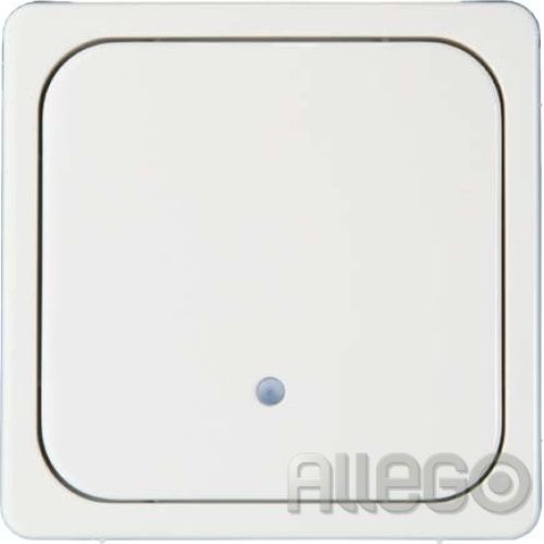 Bild: ELSO 203344 Tastfläche reinweiss