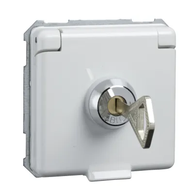 Elso Steckdosen-Einsatz 225074 | abschließbar mit Schloss & 2 Schlüsseln | Schuko Unterputz 16A 250V | reinweiß