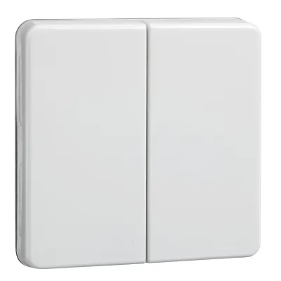 Elso Wippe Serienschalter/Doppeltaster 233504 | Schalterwippe paarig | bruchfest | Thermoplast | glänzend | reinweiß