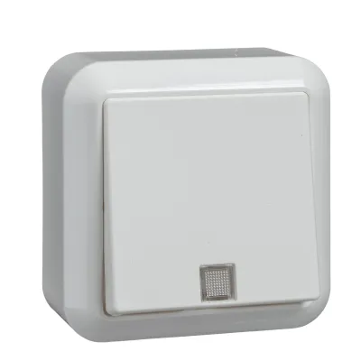 Elso Taster beleuchtet 382114 | Aufputz | 1 Schließer | 10A 250V | IP20 | Wippe | Thermoplast | reinweiß