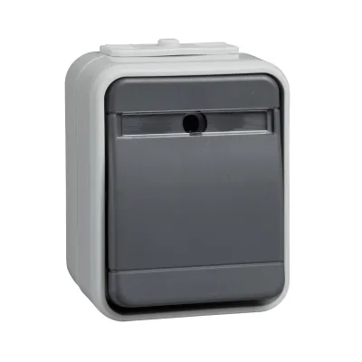 Elso Taster 442129 Aqua-Top | Wipptaster mit Schriftfeld | beleuchtbar | Aufputz IP44 | 10A 250V | lichtbasaltgrau