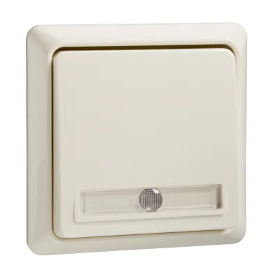 ELSO Taster 502110 | Aufputz Wipptaster beleuchtet | 10A 250V | 1 Schließer | IP20 | Kunststoff Thermoplast | perlweiß