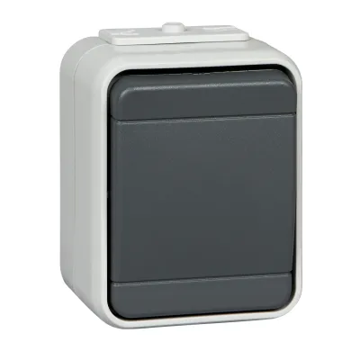 ELSO Universalschalter 451609 | Wechselschalter Aufputz IP44 | 10A 250V | Waschmaschinenschalter | lichtbasaltgrau