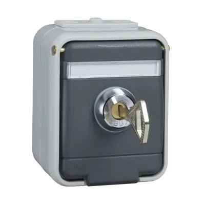 Elso Steckdose 1-fach | abschließbar | SCHUKO | Aufputz | IP44 | Klappdeckel | 16A | lichtbasaltgrau