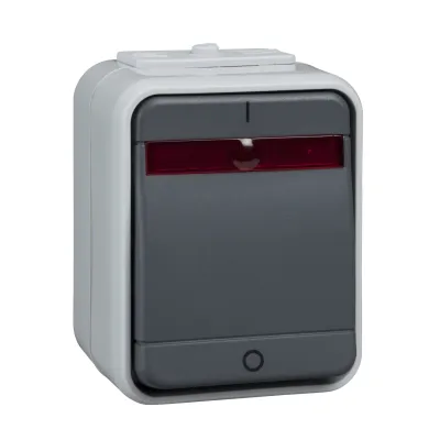 Elso Kontroll-Ausschalter 2-polig ELG441219 | Aufputz IP44 | beleuchtet | Glimmlampe | 10A 250V | licht-/basaltgrau