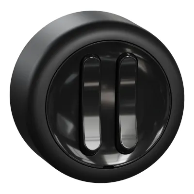 ELSO Serienschalter WDE015916 | 2-fach Aufputz | 16A 250V | Steckklemme | RENOVA Serie | IP20 | matt schwarz