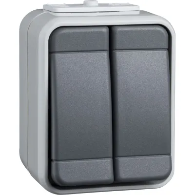 Schneider Electric Elso Serienschalter 441509 | Aufputz IP44 | 2-fach | 10A 250V | AquaTop Steckklemme | lichtbasaltgrau