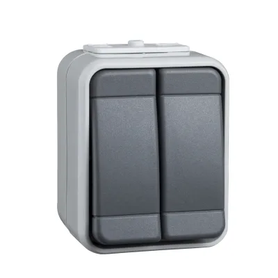 Schneider Electric Elso Serienschalter 441509 | Aufputz IP44 | 2-fach | 10A 250V | AquaTop Steckklemme | lichtbasaltgrau