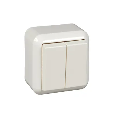 Elso Serienschalter 381504 | Aufputz | 10A 250V | 2-fach Wippe | IP20 | Thermoplast | reinweiß