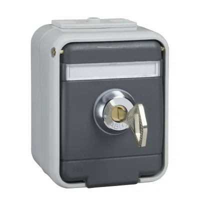 ELSO Steckdose 1-fach | abschließbar | SCHUKO | IP44 | Aufputz | Klappdeckel | lichtbasaltgrau