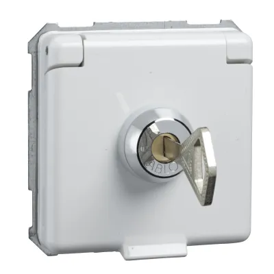 Elso abschließbare SCHUKO Steckdose | 225064 | IP20 | Klappdeckel | 16A | 250V | reinweiß | inkl. 2 Schlüssel