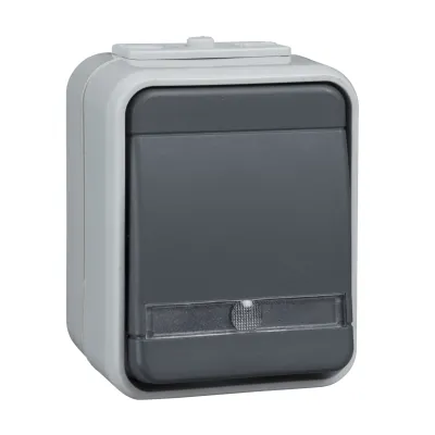 Elso Taster Aufputz ELG442119 | beleuchtet | 1 Schließer | IP44 | 10A 250V | Thermoplast | lichtgrau/basaltgrau