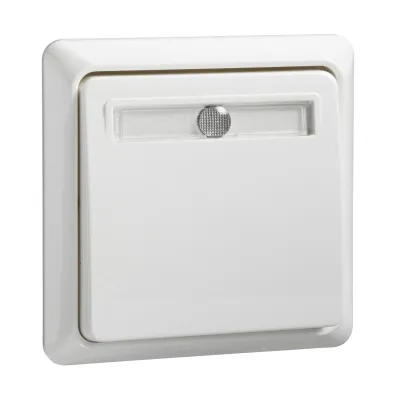 Elso Taster 502124 | Wipptaster beleuchtet | 10A 250V | 1 Wechsler | Aufputz | IP20 | reinweiß