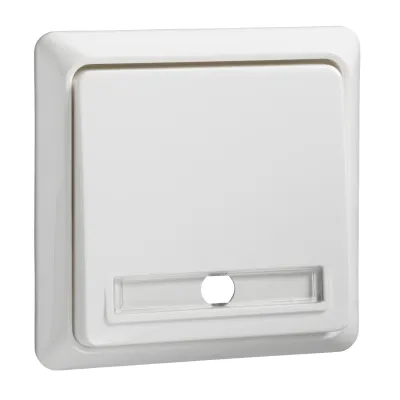 Elso Taster 502134 | Wipptaster Komplettgerät | Schließer | Aufputz | Schriftfeld | 10A 250V | reinweiß