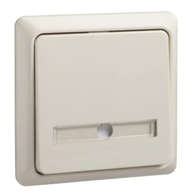 Elso Taster 506320 | Wipptaster Aufputz flach mit Schriftfeld | 42V 1A | 1 Schließer | Kunststoff perlweiß