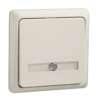 Elso Taster 506340 | Wipptaster Aufputz beleuchtet mit Schriftfeld | 1 Schließer 42V 1A | LED-Anschluss | perlweiß