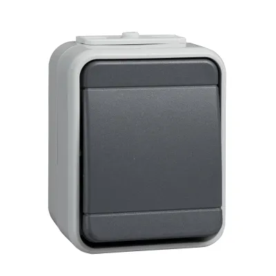 Elso Aufputz-Taster 442109 | Wipptaster 1-fach | IP44 | 10A 250V | licht-/basaltgrau | Schließer | AquaTop