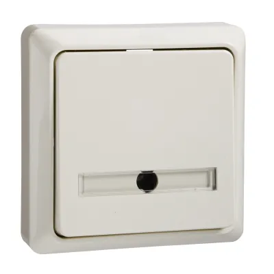 ELSO Taster 506220 | Aufputz Wipptaster 42V 1A | mit Schriftfeld | Kunststoff Thermoplast | perlweiß RAL 1013 | IP20