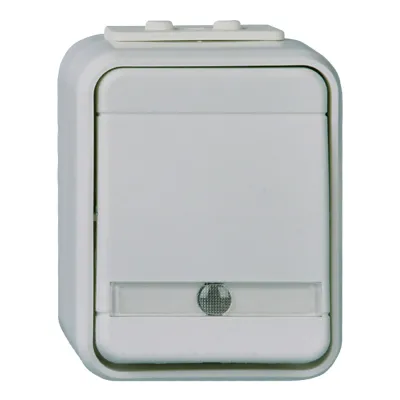 Elso Universalschalter beleuchtet | Wechselschalter Aufputz | IP44 | 10A 250V | grau Kunststoff