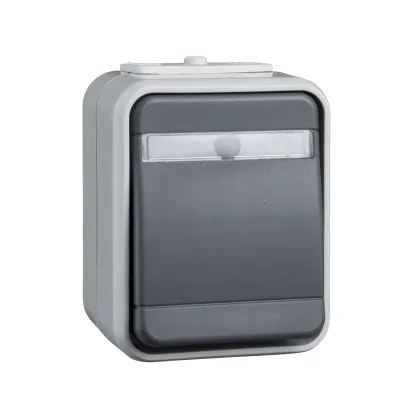 Elso Universalschalter 441629 | Aus-Wechselschalter AP IP44 | Schriftfeld | 10A 250V~ | Aufputz | lichtbasaltgrau
