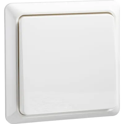 Elso Universalschalter 501604 | Wechselschalter 10A 250V | Aufputz | Steckklemme | IP20 | Thermoplast | reinweiß