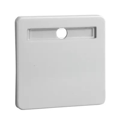 ELSO Wippe 1fach mit Schriftfeld 213624 | Schalterabdeckung | Duroplast glänzend | reinweiß | IP20