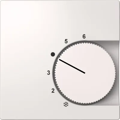 Elso Zentralplatte Temperaturregler-Einsatz ELG227404 | Thermoplast | bruchfest | glänzend | weiß RAL 9010 | IP20