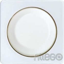 ELSO Zentralplatte pw für Dimmer/Drehknopf 207010