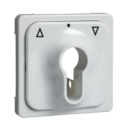 Elso Zentralplatte für Schlüsselschalter 203034 | Abdeckung Jalousie | Symbol Pfeile | Thermoplast | reinweiß RAL 9010