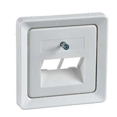 Elso Zentralplatte 206414 | UAE/IAE Abdeckung für 2x RJ45 | ohne Beschriftungsfeld | Thermoplast | reinweiß