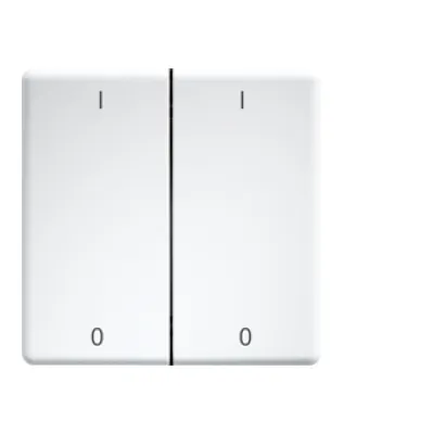 Eltako Doppelwippe DW-FT55-wg+IO 30000987 | Funktaster Schalter | lasergraviert I/O | 55x55mm | weiß glänzend