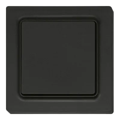 Eltako Funktaster F2T55E-am 30055718 | 2-Kanal Wandsender | batterielos | Aufputz | 55x55mm | anthrazit matt