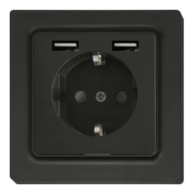 Eltako Schutzkontakt-Steckdose DSS55E+2xUSBA-am | SCHUKO mit 2 USB-A | Unterputz | erhöhter Berührungsschutz | anthrazit