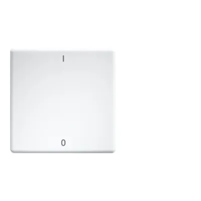 Eltako Wippe W-FT55-rw+IO 30000984 | Funktaster Einsatz 55x55 mm | lasergraviert I/O | matt | Kunststoff | weiß