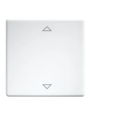 Eltako Wippe Schalter W-FT55-wg+2P 30000981 | Funktaster 55x55mm | Lasergravur Auf/Ab | Kunststoff | glänzend | weiß