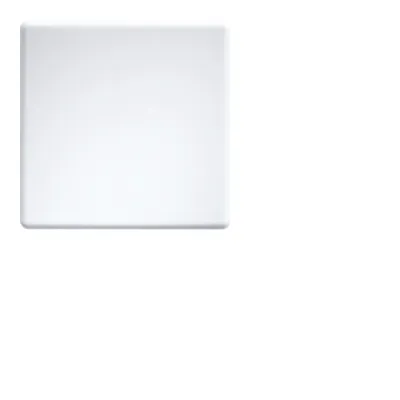 Eltako Wippe für Funktaster W-F2T55E-wg 30055966 | lasergraviert | 1-fach | Kunststoff Thermoplast | glänzend | reinweiß