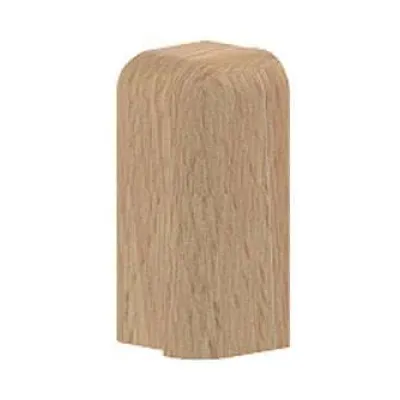 GGK Endplatte rechts 13888 | Endstück für Sockelleistenkanal 20x50 mm | Kunststoff | Dekor Buche
