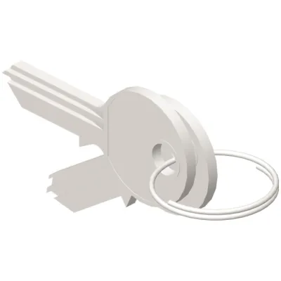 Enoc Schlüssel f.S1/F1+diverse si Schlüssel 101 (Paar)