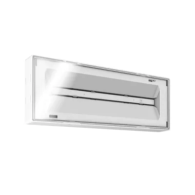 ESYLUX LED-Sicherheitsleuchte ELX EL EN10077098 | Notleuchte 3h/8h | 3W 4000K 245lm | IP54 | Deckenanbau | weiß